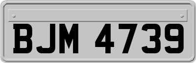 BJM4739
