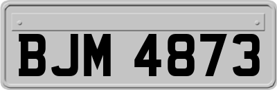 BJM4873