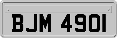 BJM4901