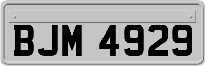 BJM4929