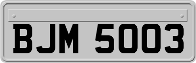 BJM5003