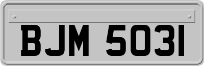 BJM5031