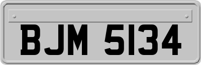 BJM5134
