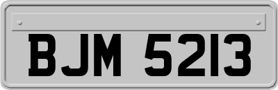 BJM5213