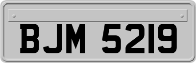 BJM5219
