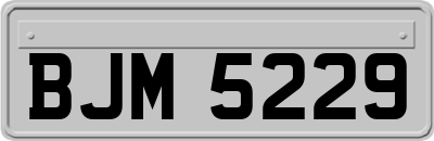 BJM5229