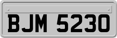 BJM5230
