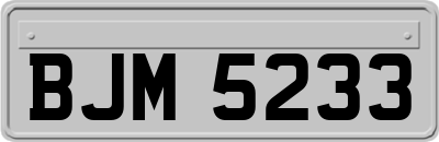 BJM5233