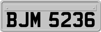BJM5236