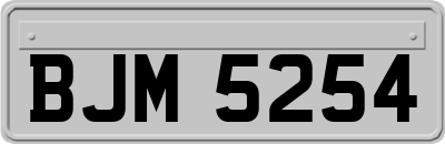 BJM5254