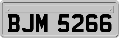 BJM5266