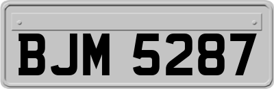 BJM5287