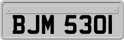 BJM5301