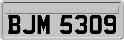 BJM5309