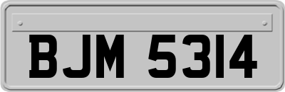 BJM5314