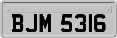 BJM5316