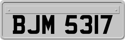 BJM5317