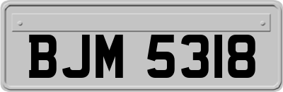 BJM5318