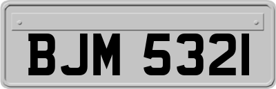 BJM5321