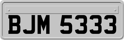 BJM5333