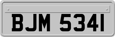 BJM5341
