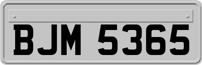 BJM5365