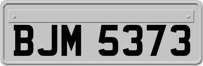 BJM5373