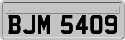 BJM5409