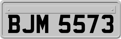 BJM5573