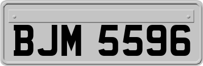 BJM5596