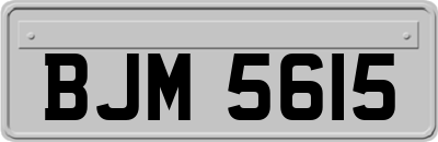 BJM5615