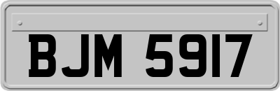 BJM5917