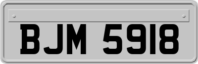 BJM5918