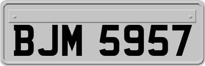BJM5957