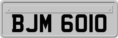 BJM6010