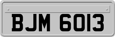 BJM6013