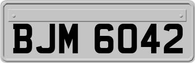 BJM6042