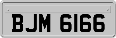 BJM6166