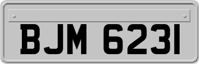 BJM6231