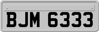 BJM6333