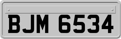 BJM6534
