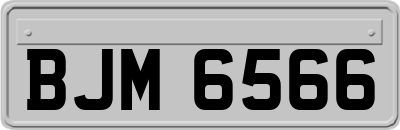 BJM6566