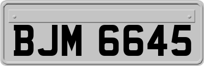 BJM6645
