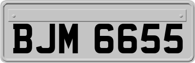 BJM6655