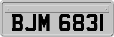 BJM6831