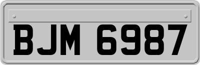 BJM6987