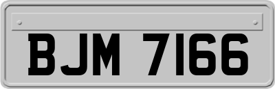 BJM7166