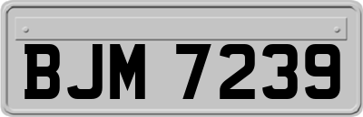 BJM7239