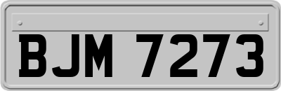 BJM7273
