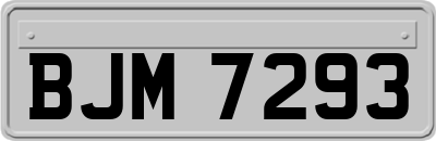 BJM7293